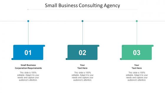 Small Business Corporation Requirements Ppt Powerpoint Presentation Outline Slideshow Cpb