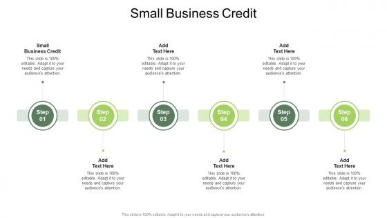 Small Business Credit In Powerpoint And Google Slides Cpb
