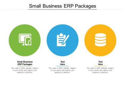 Small business erp packages ppt powerpoint presentation icon layouts cpb