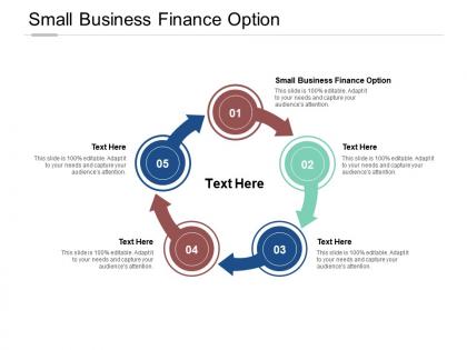 Small business finance option ppt powerpoint presentation file summary cpb