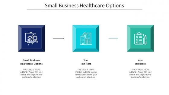 Small Business Healthcare Options Ppt Powerpoint Presentation Model Clipart Cpb