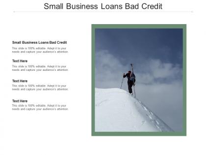 Small business loans bad credit ppt powerpoint presentation summary show cpb