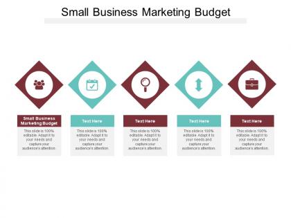 Small business marketing budget ppt powerpoint presentation slides show cpb