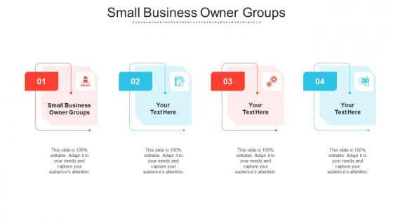 Small Business Owner Groups Ppt Powerpoint Presentation File Cpb