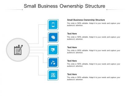Small business ownership structure ppt powerpoint presentation infographic template cpb