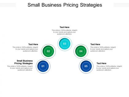 Small business pricing strategies ppt powerpoint presentation infographic template cpb