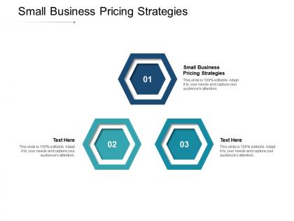 Small business pricing strategies ppt powerpoint presentation pictures slideshow cpb