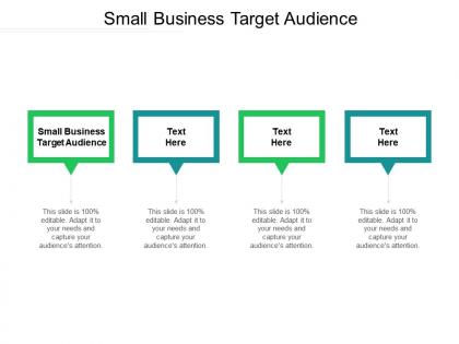 Small business target audience ppt powerpoint presentation infographic template background images cpb