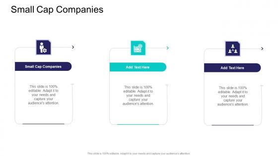 Small Cap Companies In Powerpoint And Google Slides Cpb