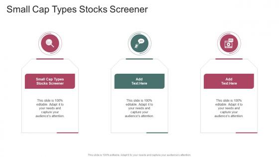Small Cap Types Stocks Screener In Powerpoint And Google Slides Cpb