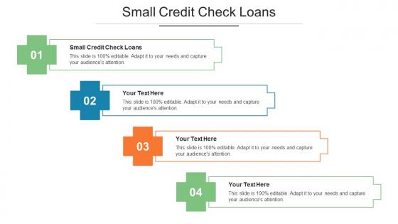 Small Credit Check Loans Ppt Powerpoint Presentation Visual Aids Inspiration Cpb