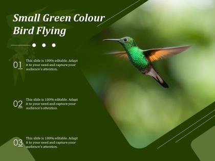 Small green colour bird flying