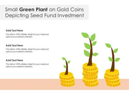 Small green plant on gold coins depicting seed fund investment