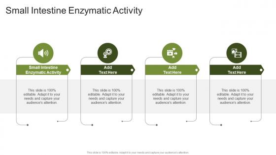 Small Intestine Enzymatic Activity In Powerpoint And Google Slides Cpb