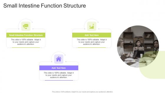 Small Intestine Function Structure In Powerpoint And Google Slides Cpb
