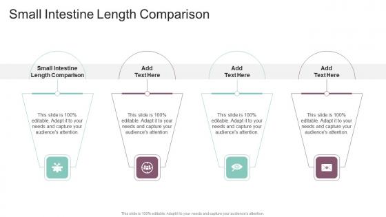 Small Intestine Length Comparison In Powerpoint And Google Slides Cpb