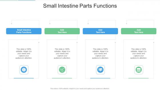 Small Intestine Parts Functions In Powerpoint And Google Slides Cpb