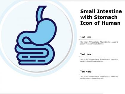 Small intestine with stomach icon of human
