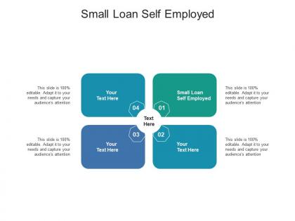 Small loan self employed ppt powerpoint presentation gallery infographic template cpb
