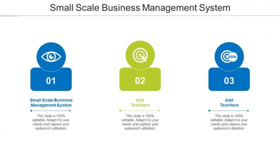 Small Scale Business Management System Ppt Powerpoint Presentation Vector Cpb