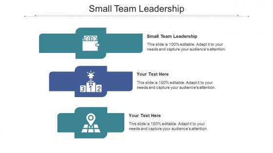 Small team leadership ppt powerpoint presentation professional graphics cpb