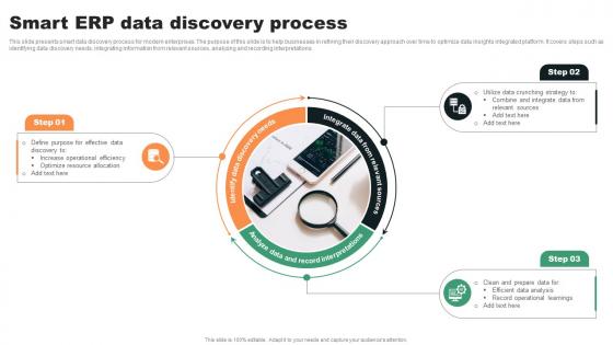 Smart Erp Data Discovery Process