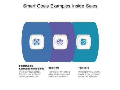 Smart goals examples inside sales ppt powerpoint presentation portfolio graphic images cpb