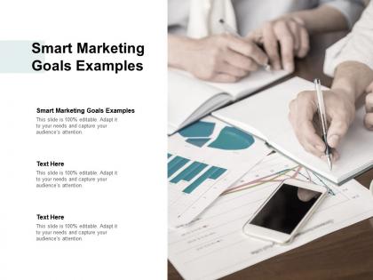 Smart marketing goals examples ppt powerpoint presentation file cpb