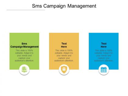 Sms campaign management ppt powerpoint presentation slides slideshow cpb