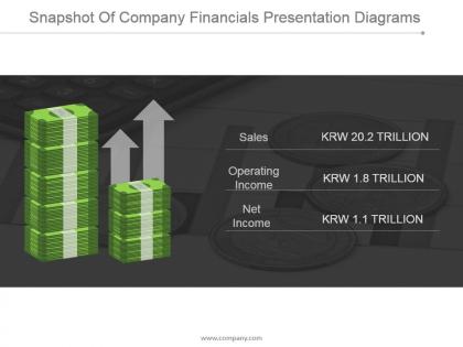 Snapshot of company financials presentation diagrams