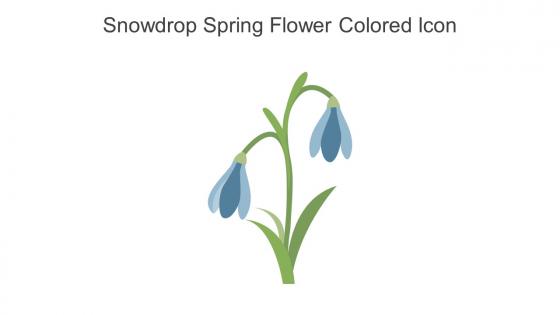 Snowdrop Spring Flower Colored Icon In Powerpoint Pptx Png And Editable Eps Format