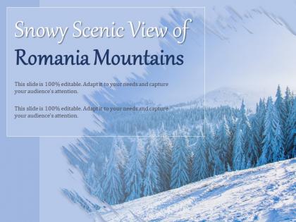 Snowy scenic view of romania mountains