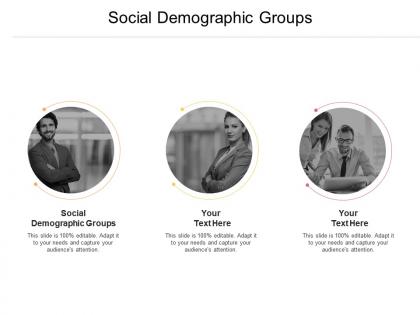 Social demographic groups ppt powerpoint presentation show themes cpb