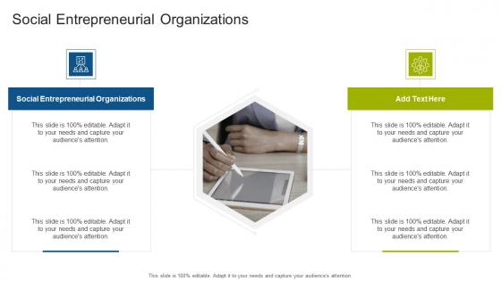 Social Entrepreneurial Organizations In Powerpoint And Google Slides Cpb