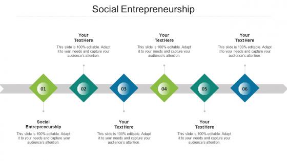 Social Entrepreneurship Ppt Powerpoint Presentation Visual Aids Summary Cpb