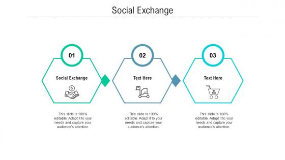 Social exchange ppt powerpoint presentation infographic template graphics template cpb