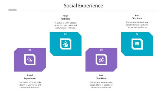 Social Experience Ppt Powerpoint Presentation Model Introduction Cpb