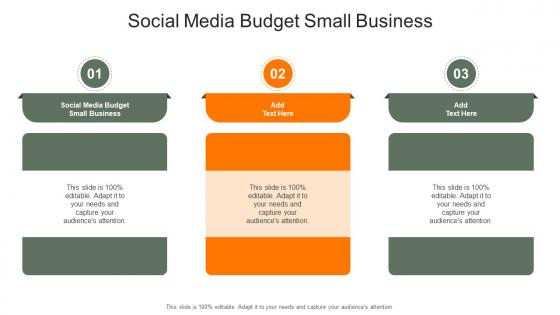 Social Media Budget Small Business In Powerpoint And Google Slides Cpb