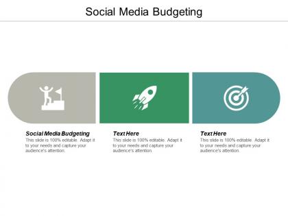 Social media budgeting ppt powerpoint presentation infographics sample cpb