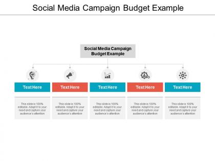Social media campaign budget example ppt powerpoint presentation show background cpb