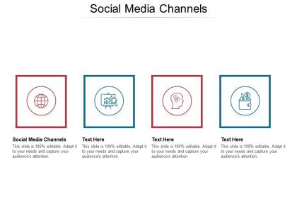 Social media channels ppt powerpoint presentation model file formats cpb
