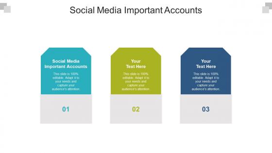 Social media important accounts ppt powerpoint presentation professional ideas cpb