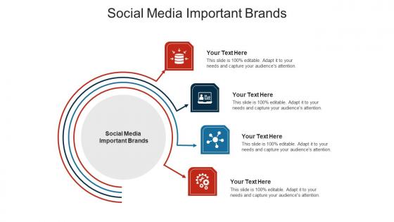 Social media important brands ppt powerpoint presentation model tips cpb