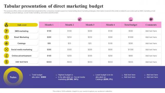 Social Media Marketing Strategy Tabular Presentation Of Direct Marketing Budget MKT SS V