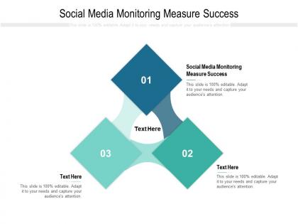 Social media monitoring measure success ppt powerpoint presentation gallery pictures cpb