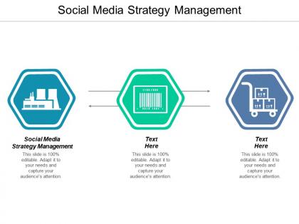 Social media strategy management ppt powerpoint presentation slides objects cpb