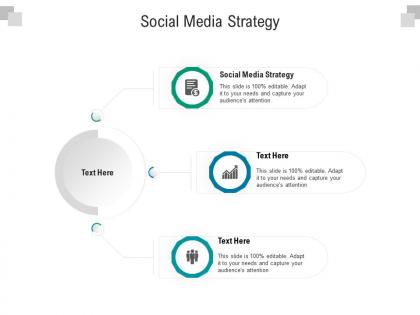 Social media strategy ppt powerpoint presentation infographic template design templates cpb