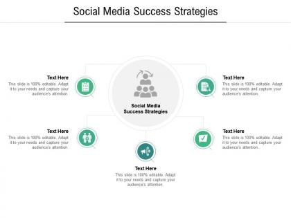 Social media success strategies ppt powerpoint presentation portfolio samples cpb