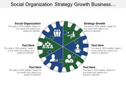 Social organization strategy growth business analyst manager