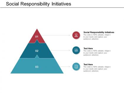 Social responsibility initiatives ppt powerpoint presentation file graphics template cpb
